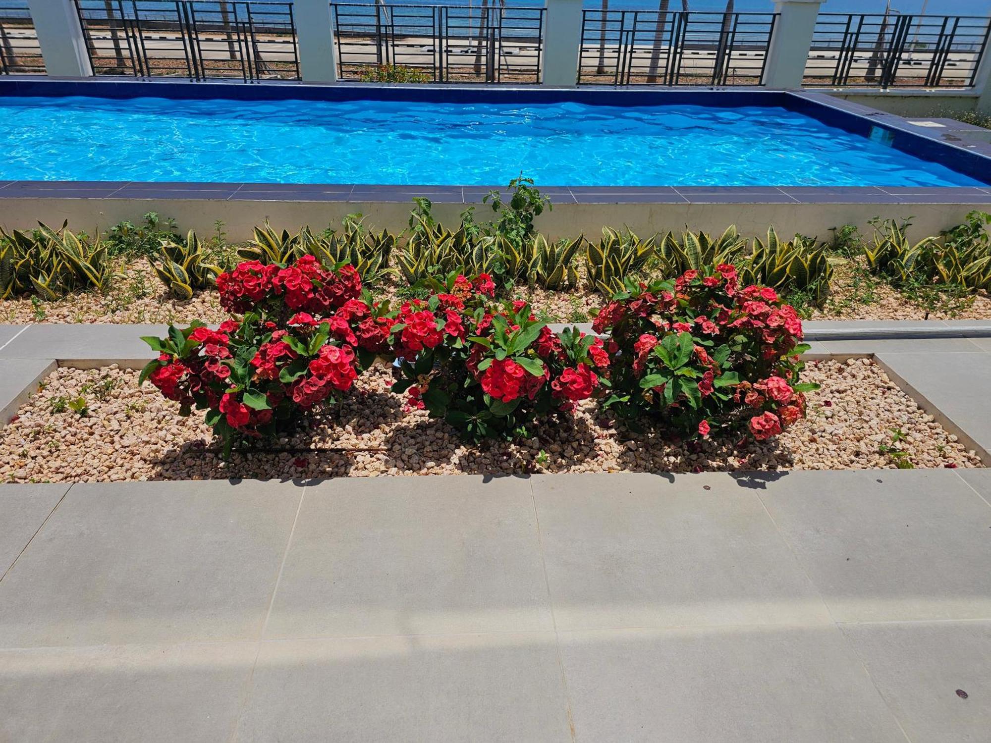 Вілла Luxury On Sea View Fumba